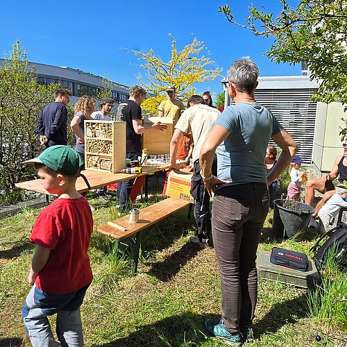 Am Samstag haben wir an unserem Standort in Seuzach einen Teil der Wiese ökologisch aufgewertet: mit neuen Pflanzen,...
